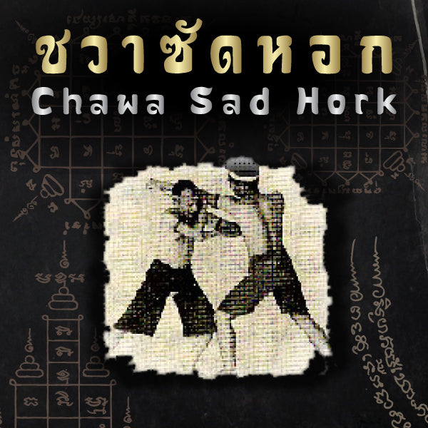 Muay Boran Moves : Chawa Sad Hork (Punch Block & Counter Attack)
