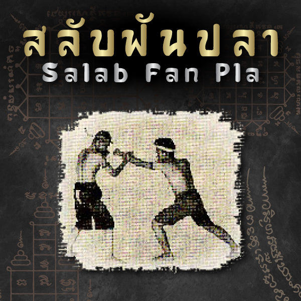 Muay Boran Moves : Salab Fan Pla (Shuffle Counter Attack)