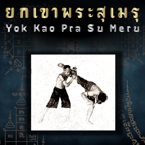 Muay Boran Moves : Yok Kao Pra Su Meru (Kick Block Throw)