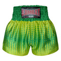 Kombat Gear Muay Thai Boxing shorts Green Star Gradient